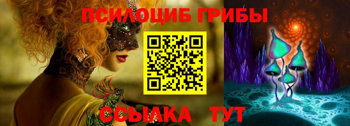 купить наркотик  Вход с VPN  Алапаевск  Псилоцибиновые грибы Cubensis 