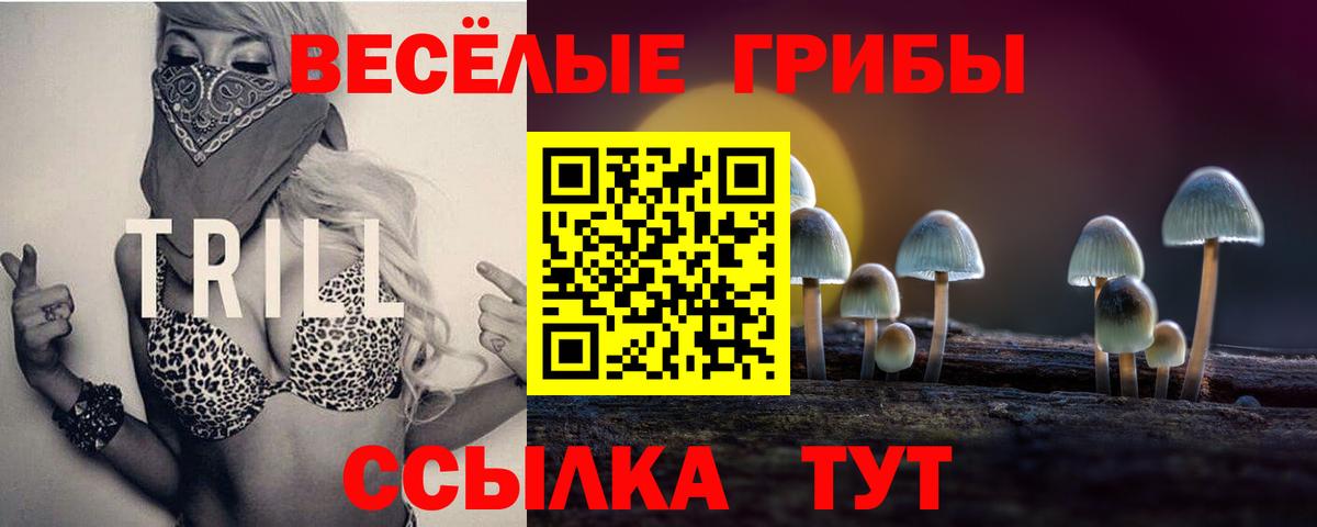 Псилоцибиновые грибы мицелий Алапаевск